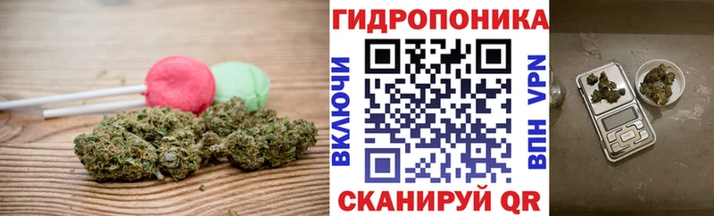 Canna-Cookies марихуана  маркетплейс состав  Зверево 