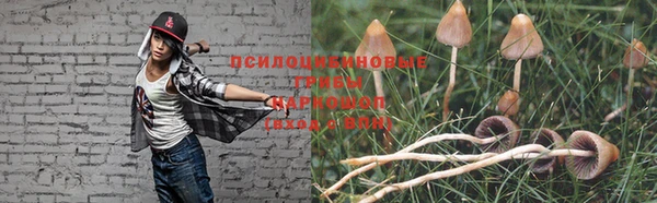 прущая мука Алзамай