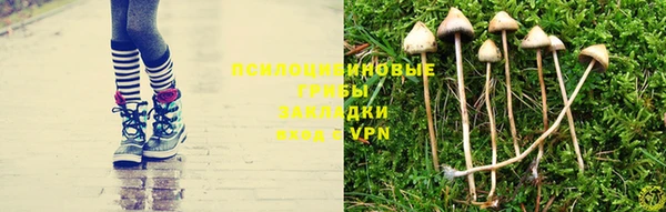 прущая мука Алзамай