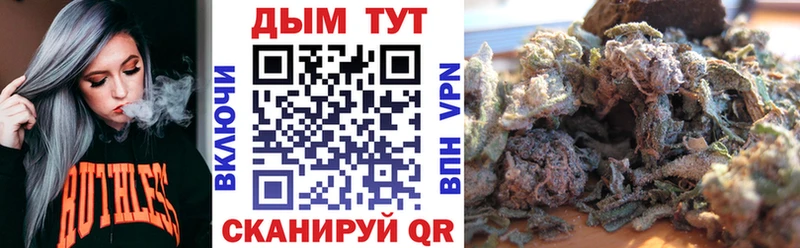 Конопля индика Зверево